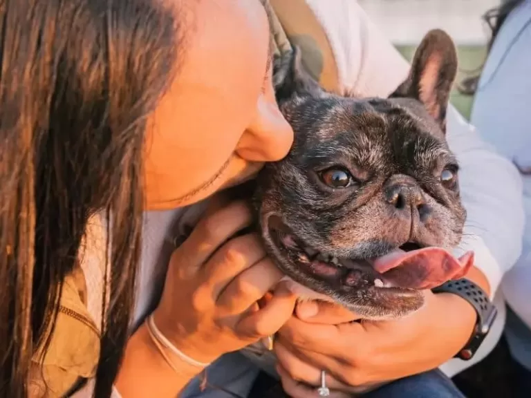 French Bulldog Chokes And Can Not Breathe: What You Need To Know?